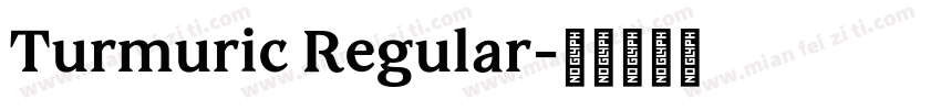 Turmuric Regular字体转换